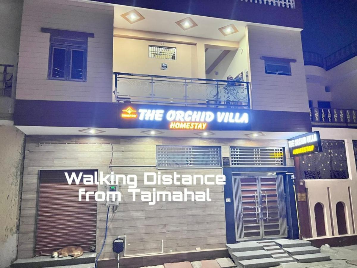 The Orchid - Walkable Distance From Taj Mahal