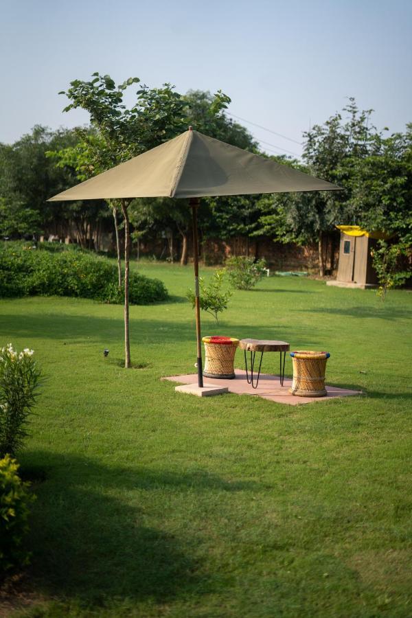 Tree Of Life Ecotainers Resort 4*