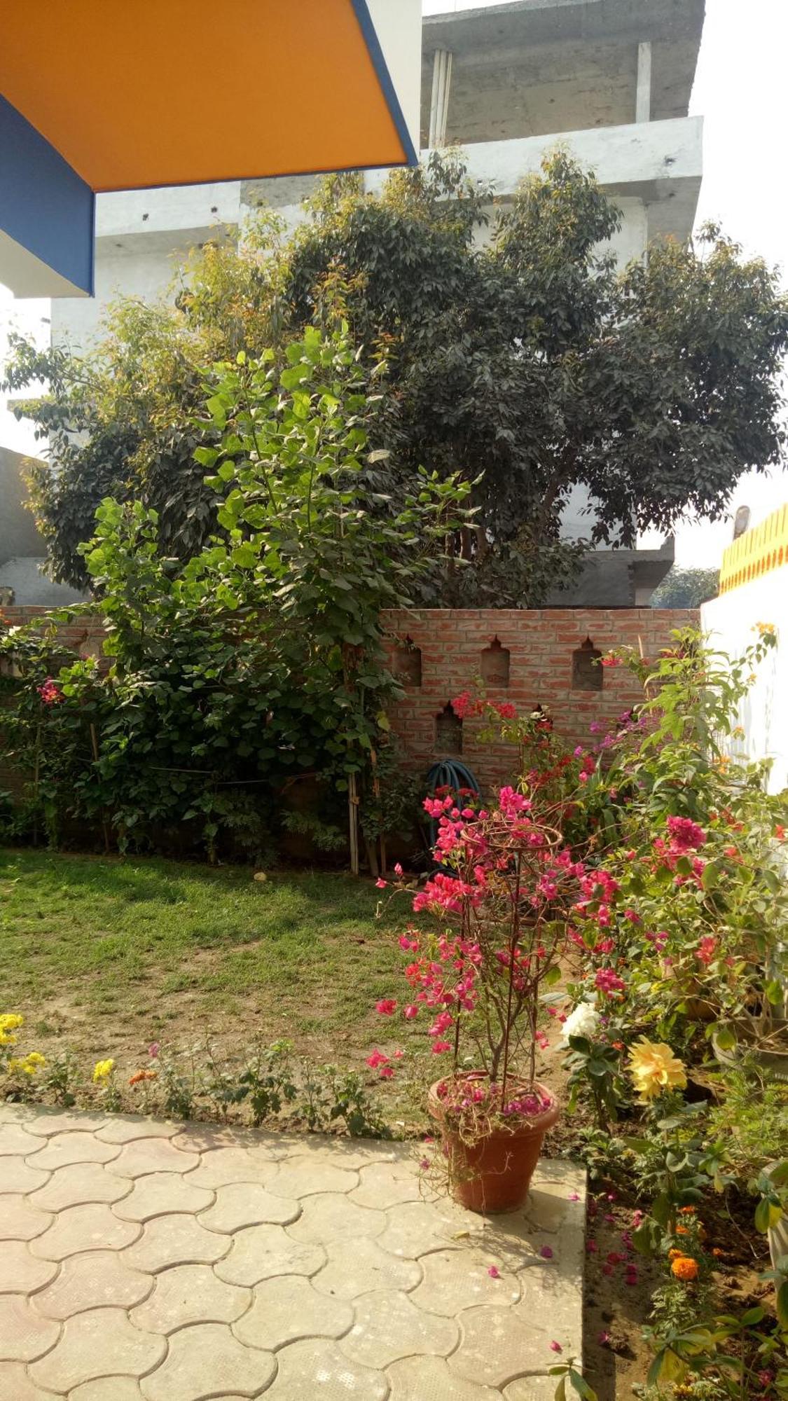 Coral Country * Agra (Uttar Pradesh)