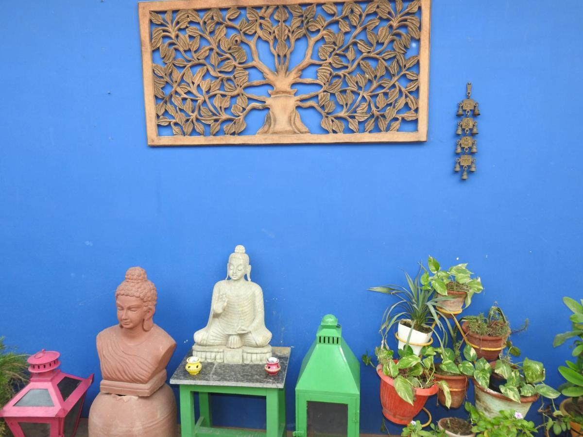 Homestay Coral Country