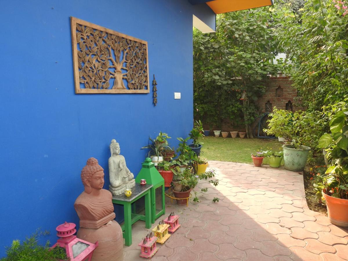 Coral Country * Agra (Uttar Pradesh)