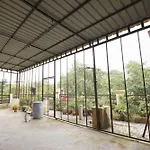Basil Inn Home Stay Walking Distance From Taj Mahal Agra