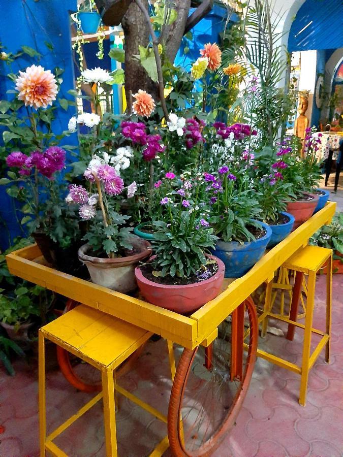 The Coral House By The Taj Agra (Uttar Pradesh)