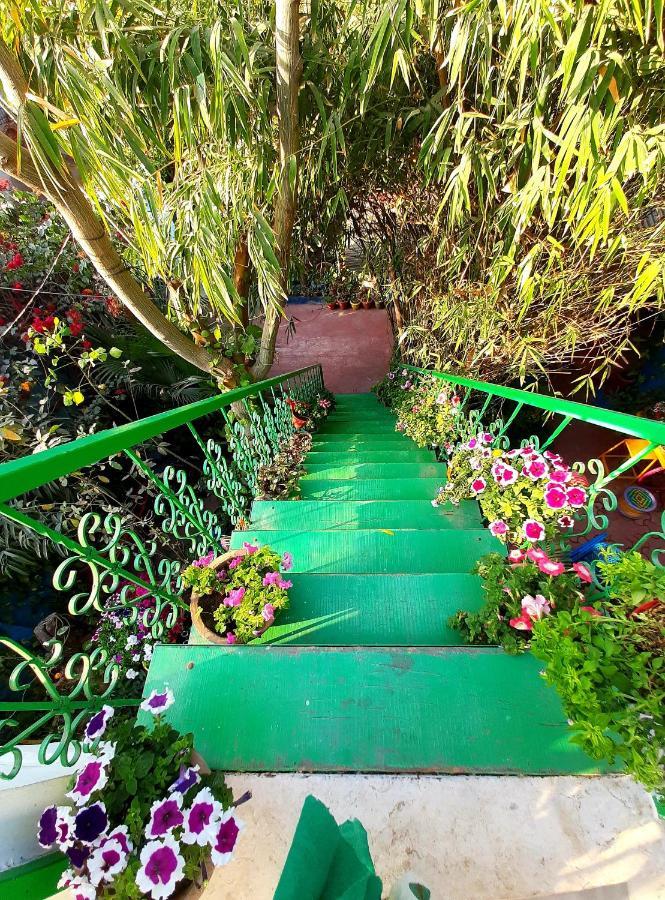 Homestay The Coral House By The Taj *