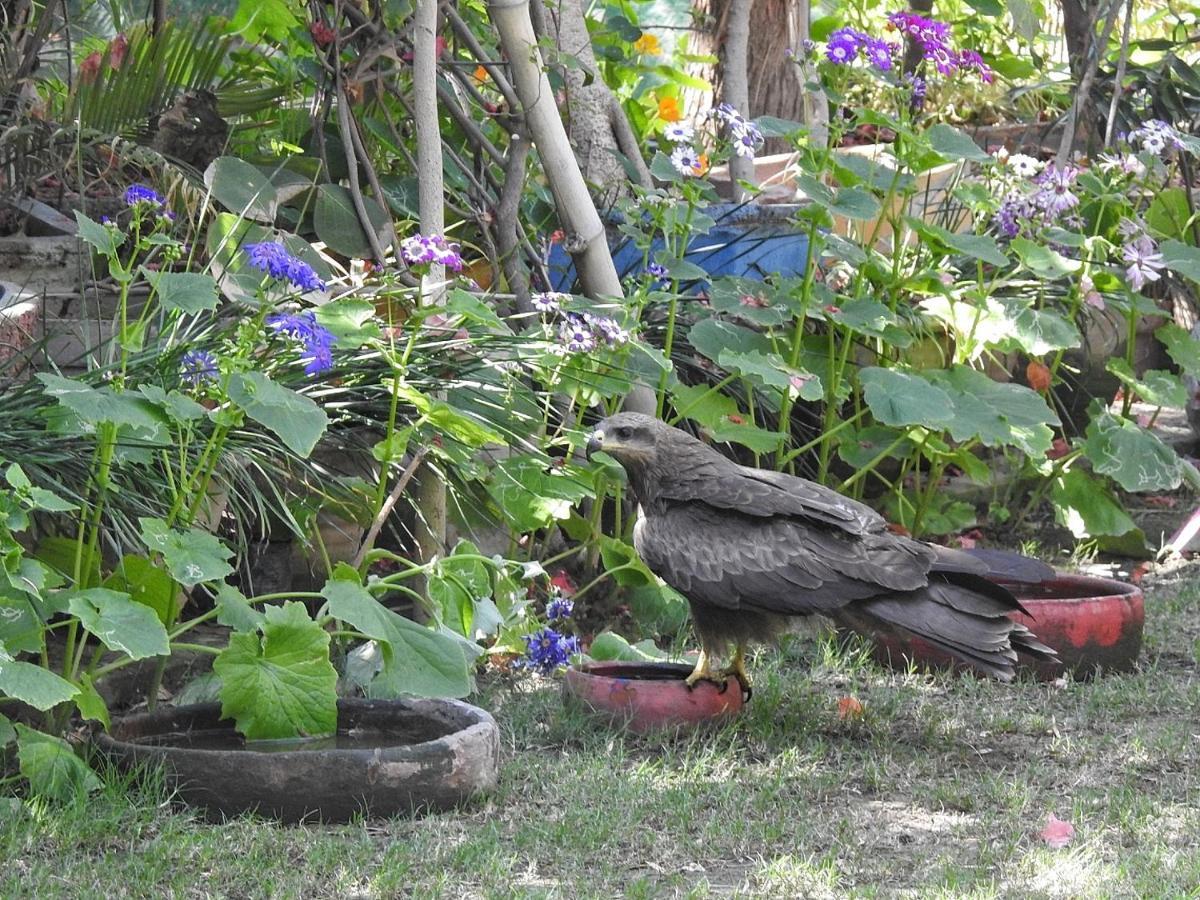 Homestay The Coral Tree Boutique Agra (Uttar Pradesh)