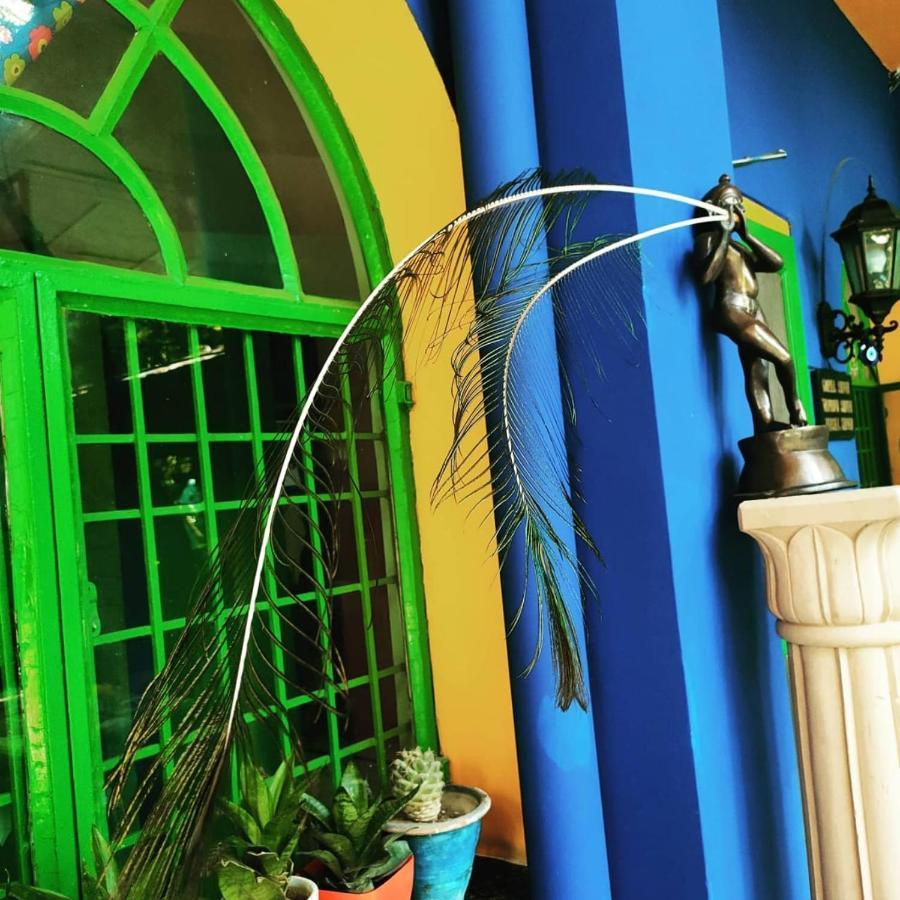 Homestay The Coral Tree Boutique