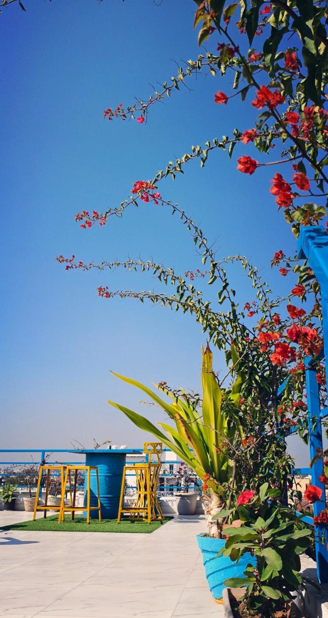 The Coral House By The Taj Homestay