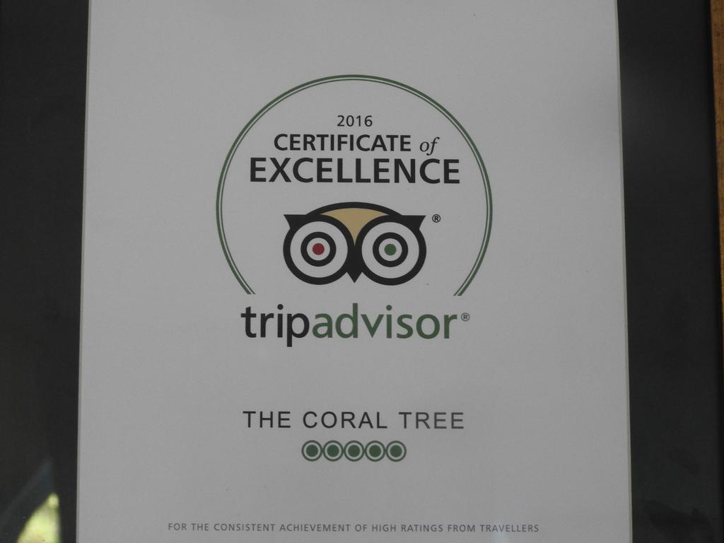 The Coral Tree Boutique Homestay *
