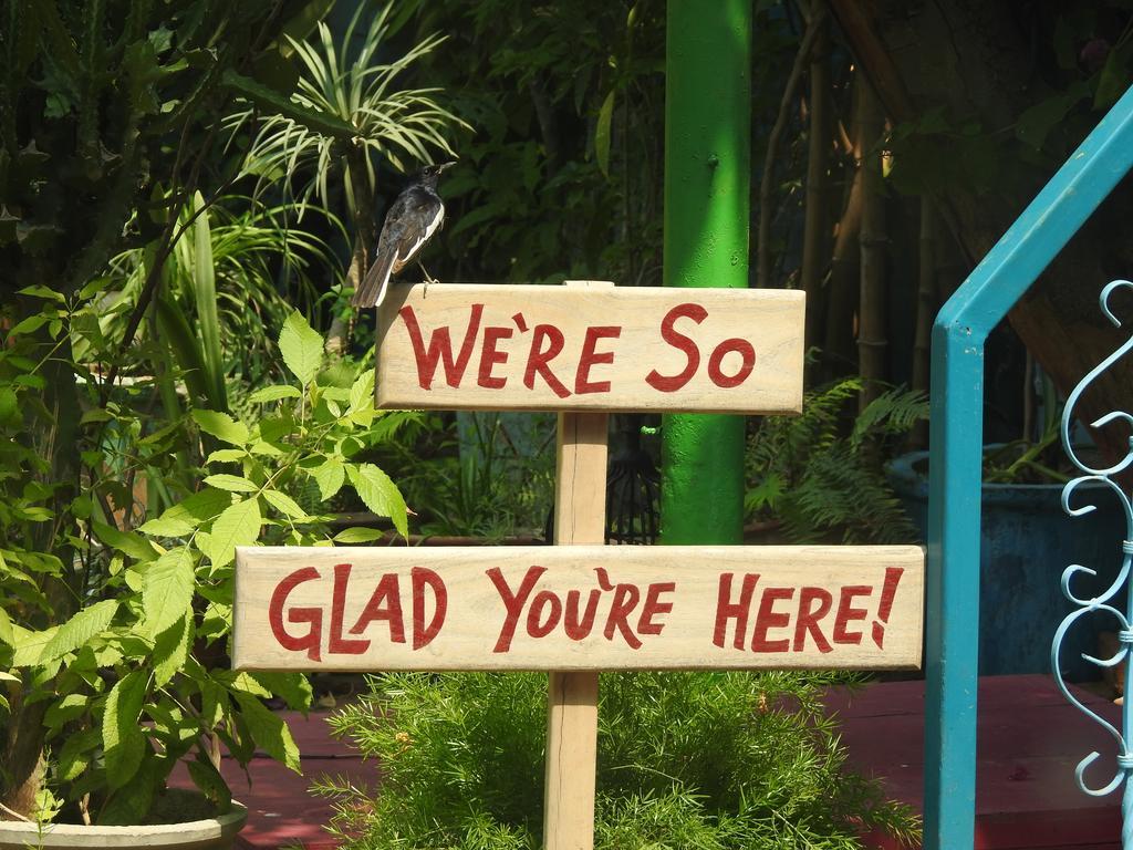 Homestay The Coral Tree Boutique *
