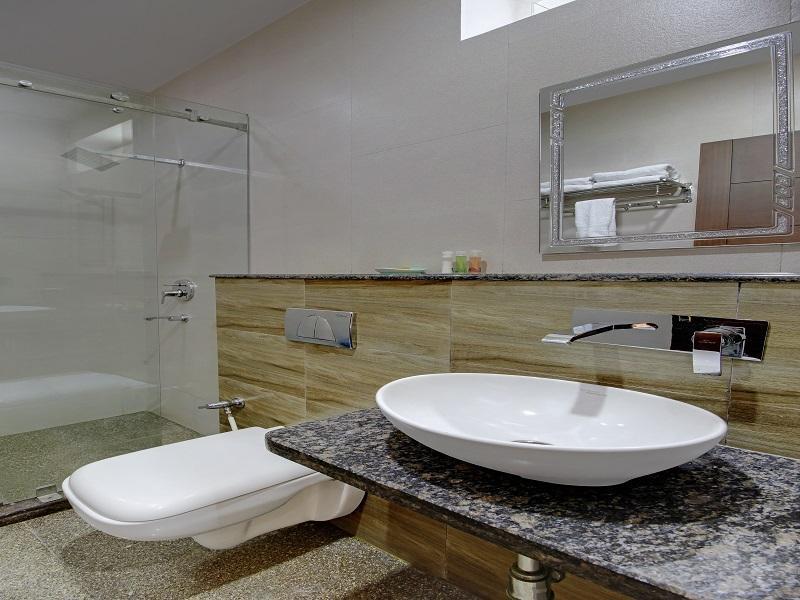 Hotel Rudra 3*