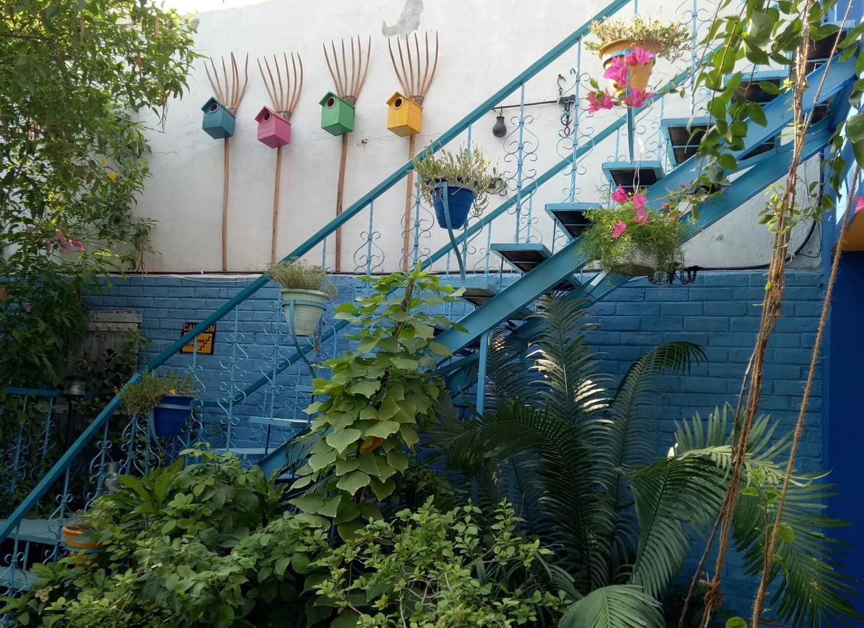 The Coral Tree Boutique *