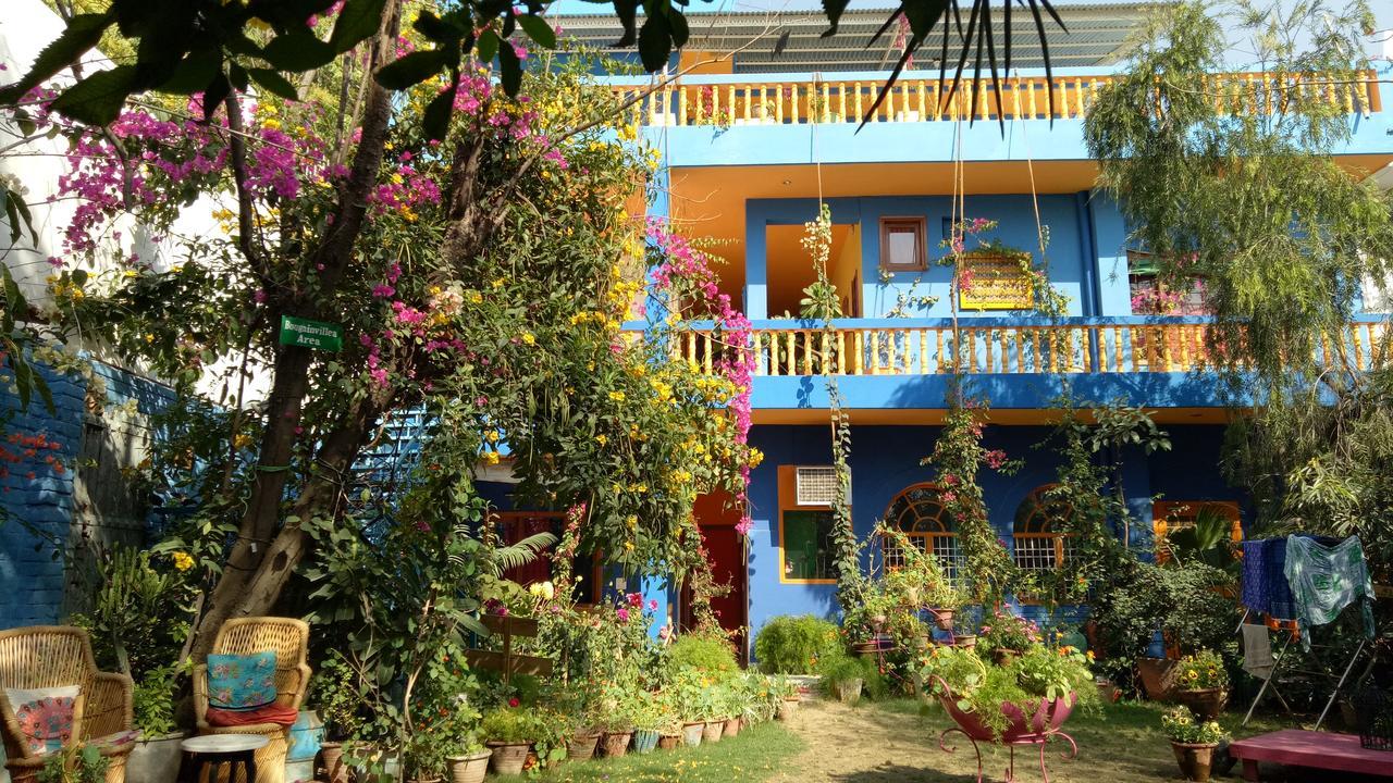 The Coral Tree Boutique * Agra (Uttar Pradesh)