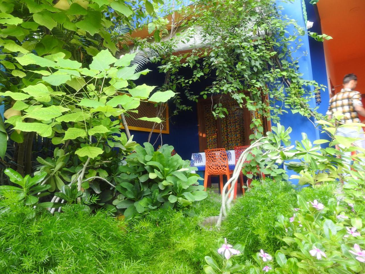 Homestay The Coral Tree Boutique