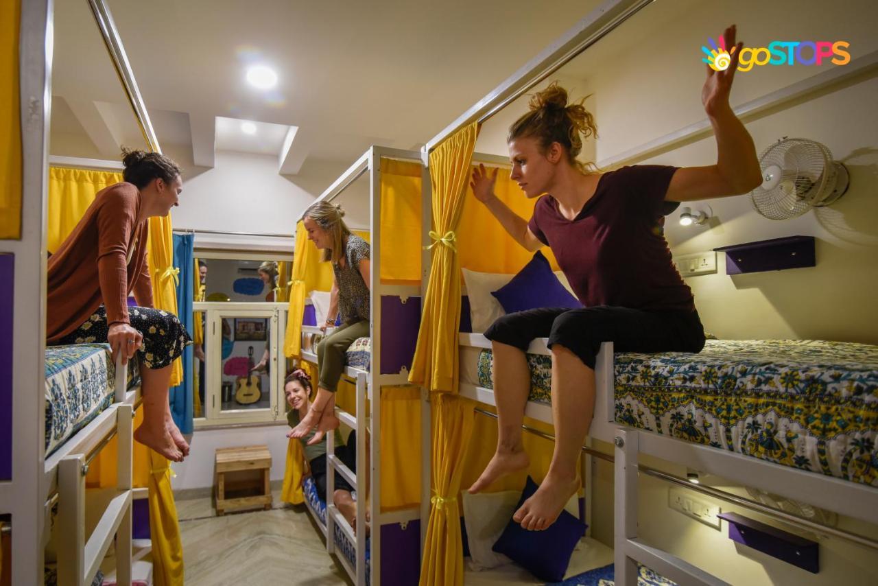 Gostops - & Dorms *