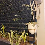 Hotel Olive Smart Stay
