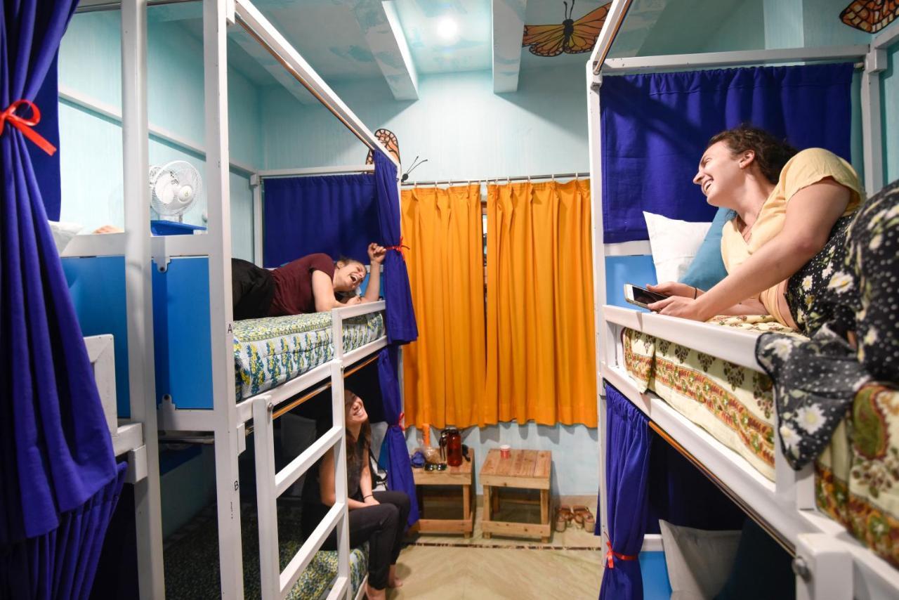 Hostel Gypsy Nest