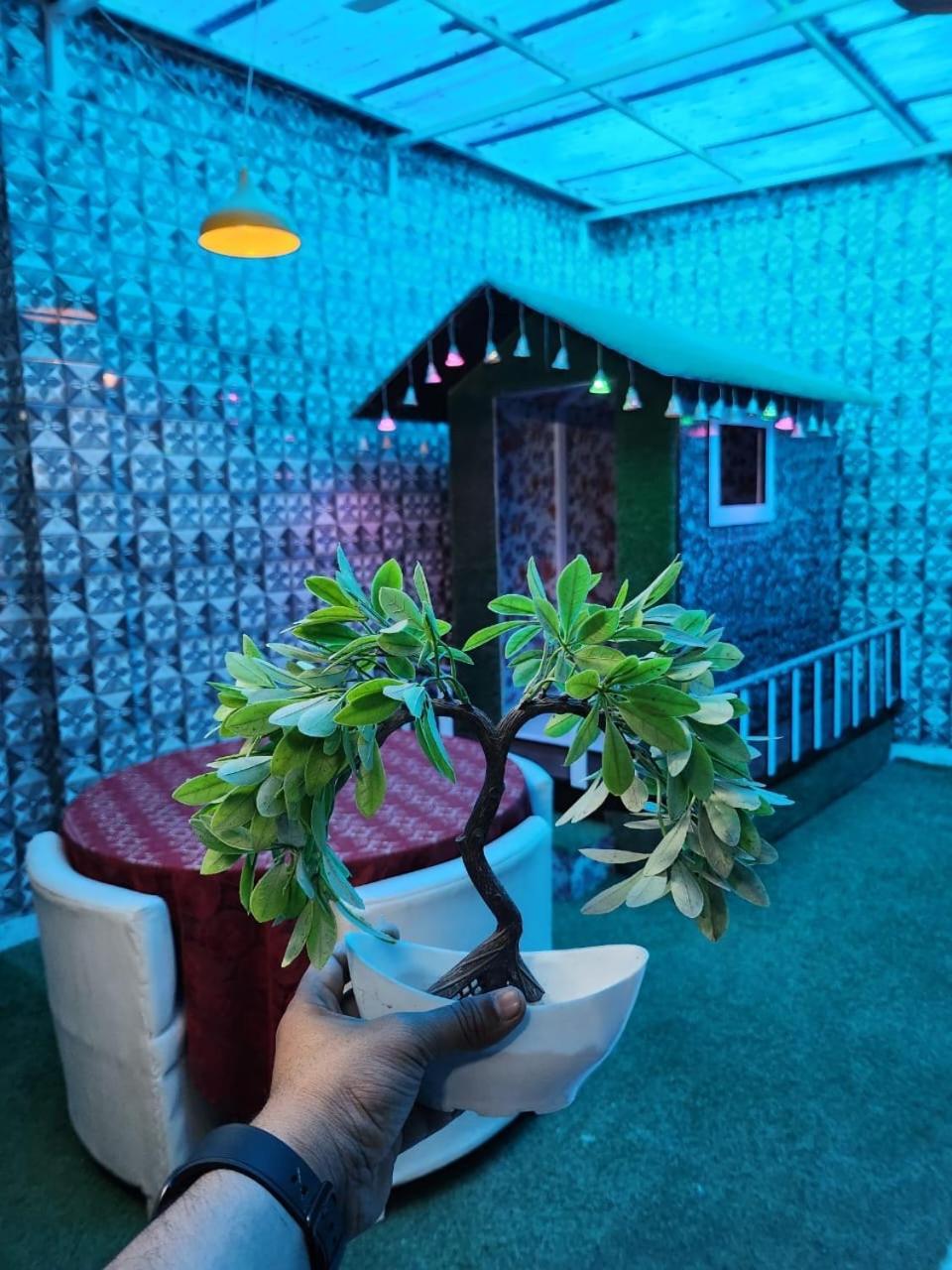 Dk's Paradise Holiday home Agra (Uttar Pradesh)
