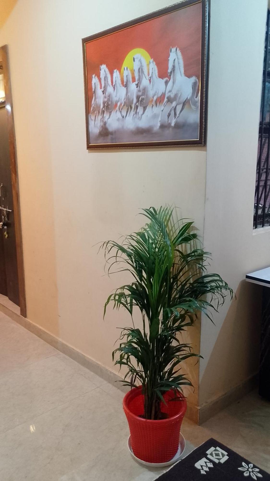 The Blessings Homestay *
