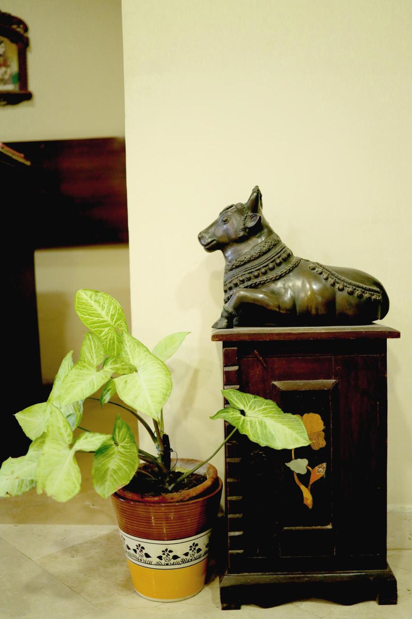 Bansi * Agra (Uttar Pradesh)