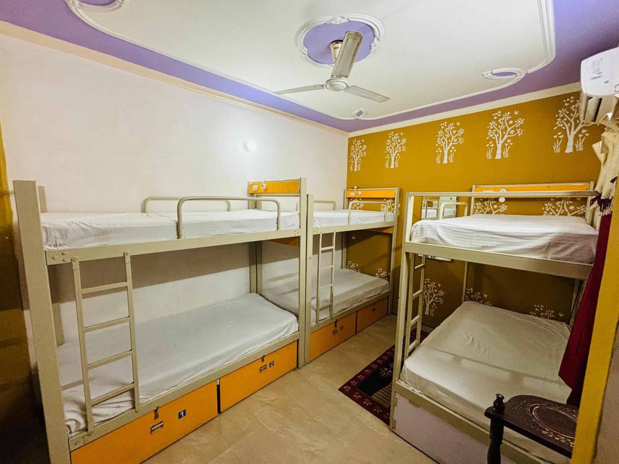 Friends & Hostel- Near Taj Mahal Hostel *