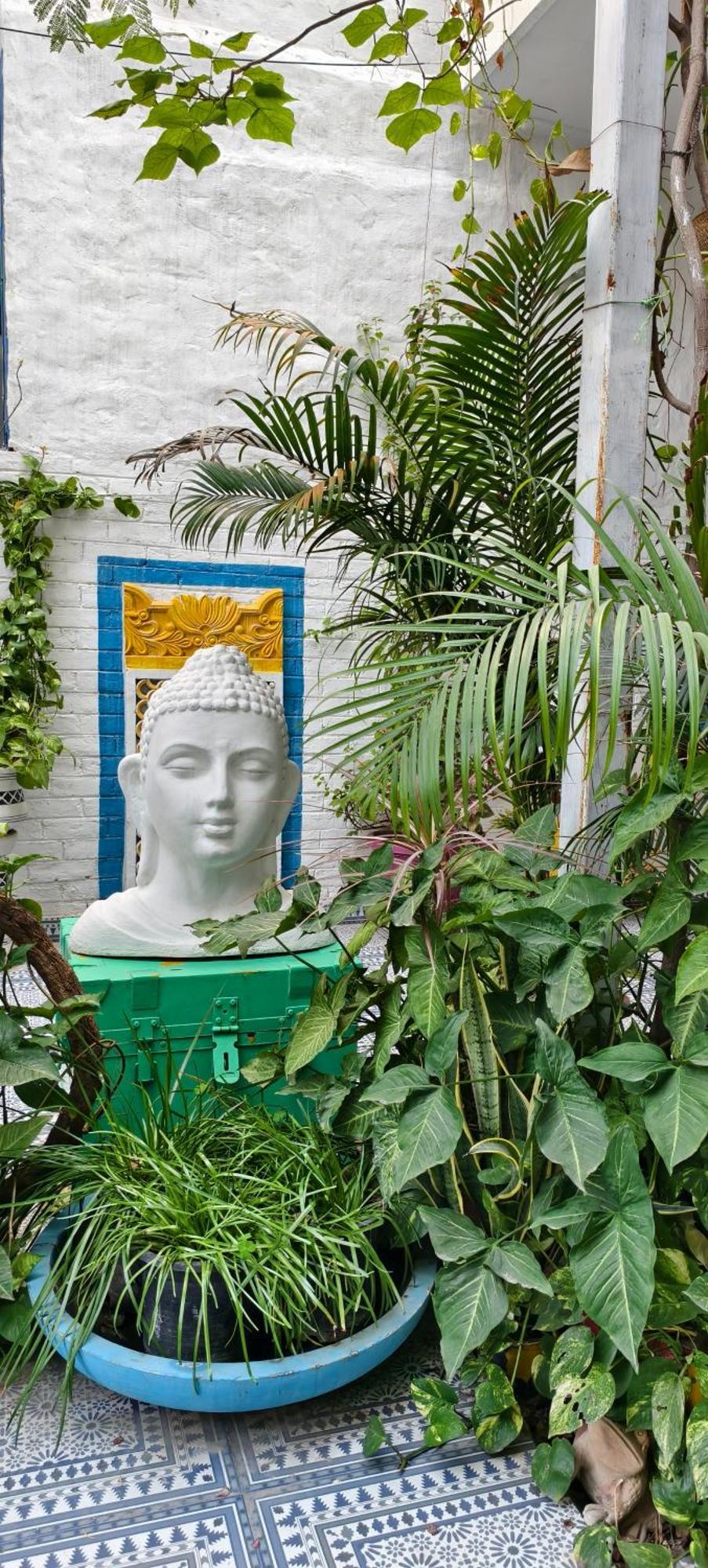 The Coral House By The Taj Homestay