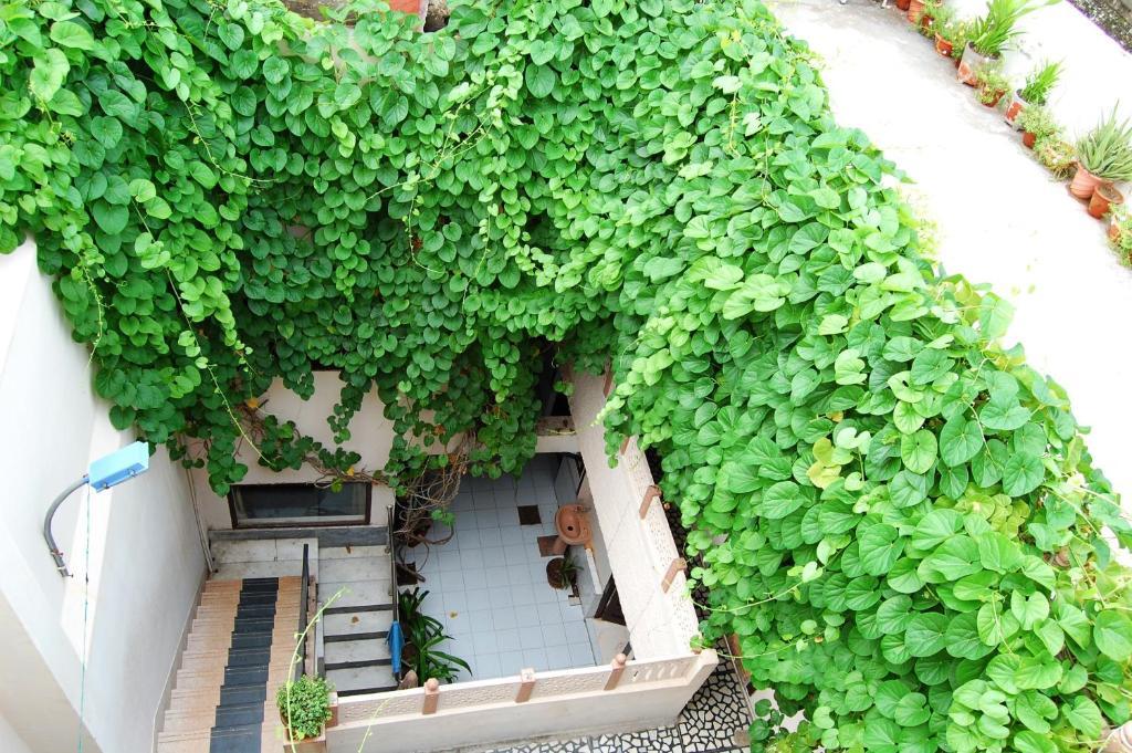Hotel Sai Palace Walking Distance From Taj Mahal--view Of Taj Mahal Agra (Uttar Pradesh)