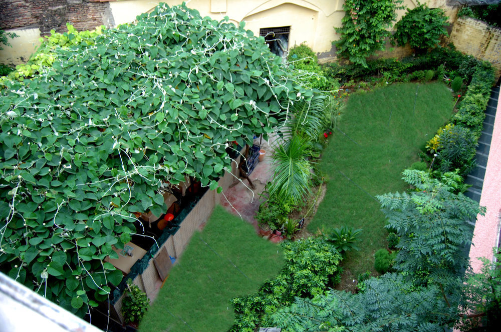 Hotel Sidhartha Walking Distance From Tajmahal 2*