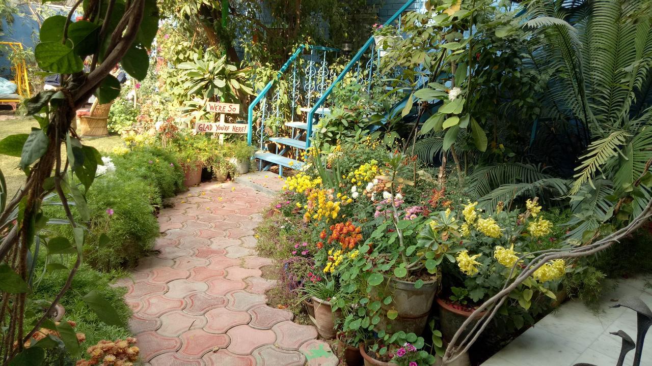 Homestay The Coral Tree Boutique *