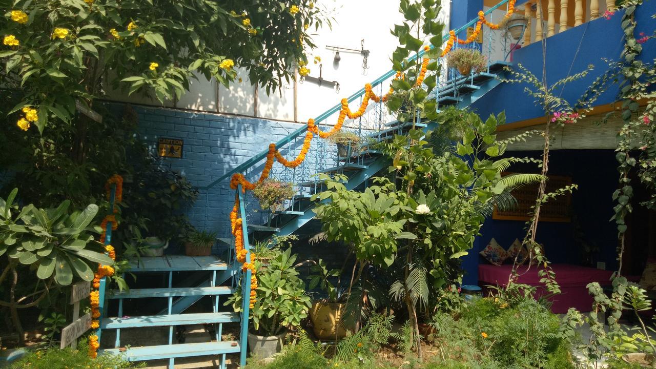Homestay The Coral Tree Boutique
