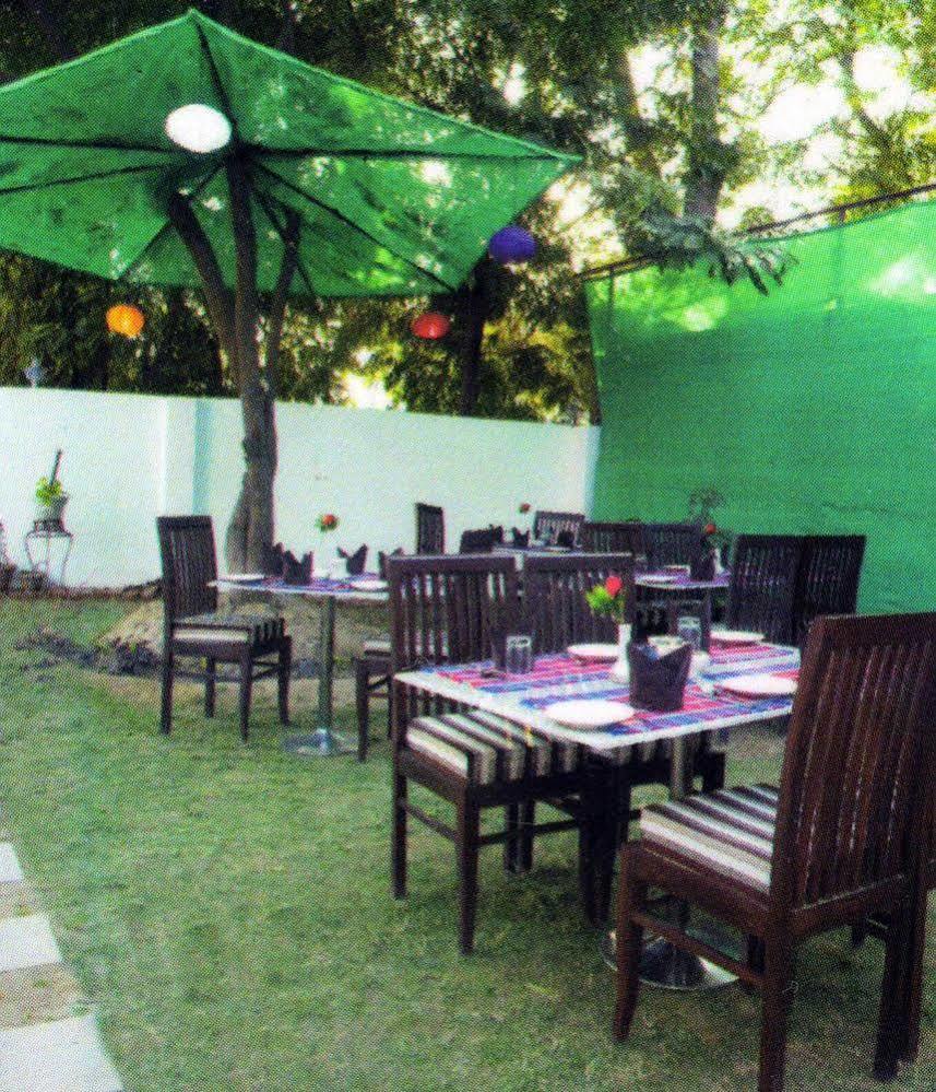 Dolphinn Agra