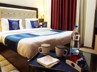 Oyo Premium Luxurious Castle Hotel