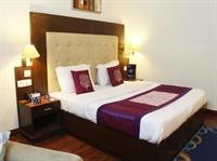 Hotel Oyo Premium Luxurious Castle