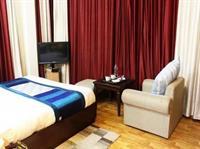 Oyo Premium Luxurious Castle Hotel