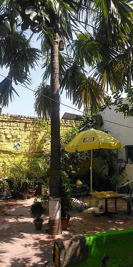 Zigzag Hostel
