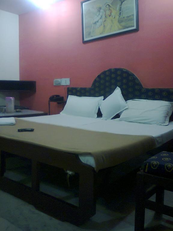 Hotel Aditya Palace *