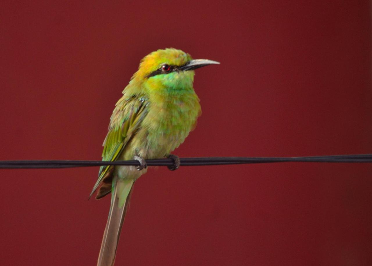 Nature * Agra (Uttar Pradesh)