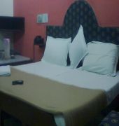 Hotel Aditya Palace *