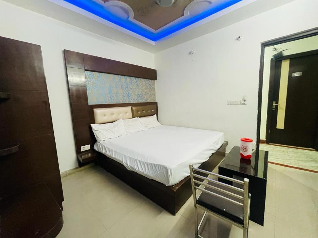 Premium Boston Family * Agra (Uttar Pradesh)