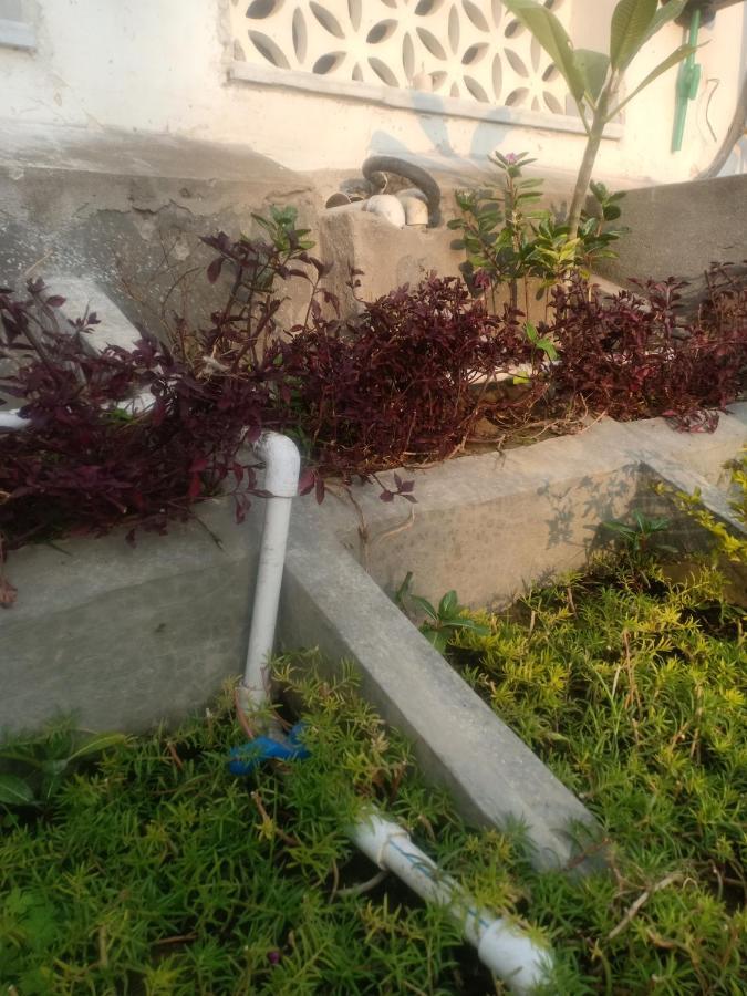 Hn Palace Homestay Agra (Uttar Pradesh)