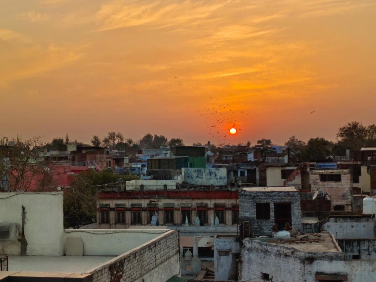 India Walking Distance From Taj Mahal-- Rooftop Taj Mahal View *