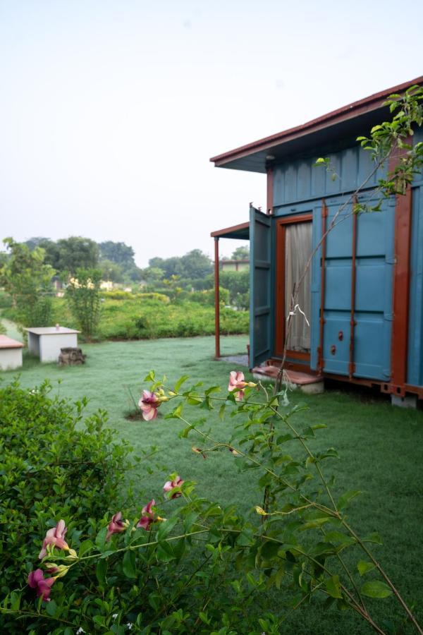 Tree Of Life Ecotainers Resort 4*
