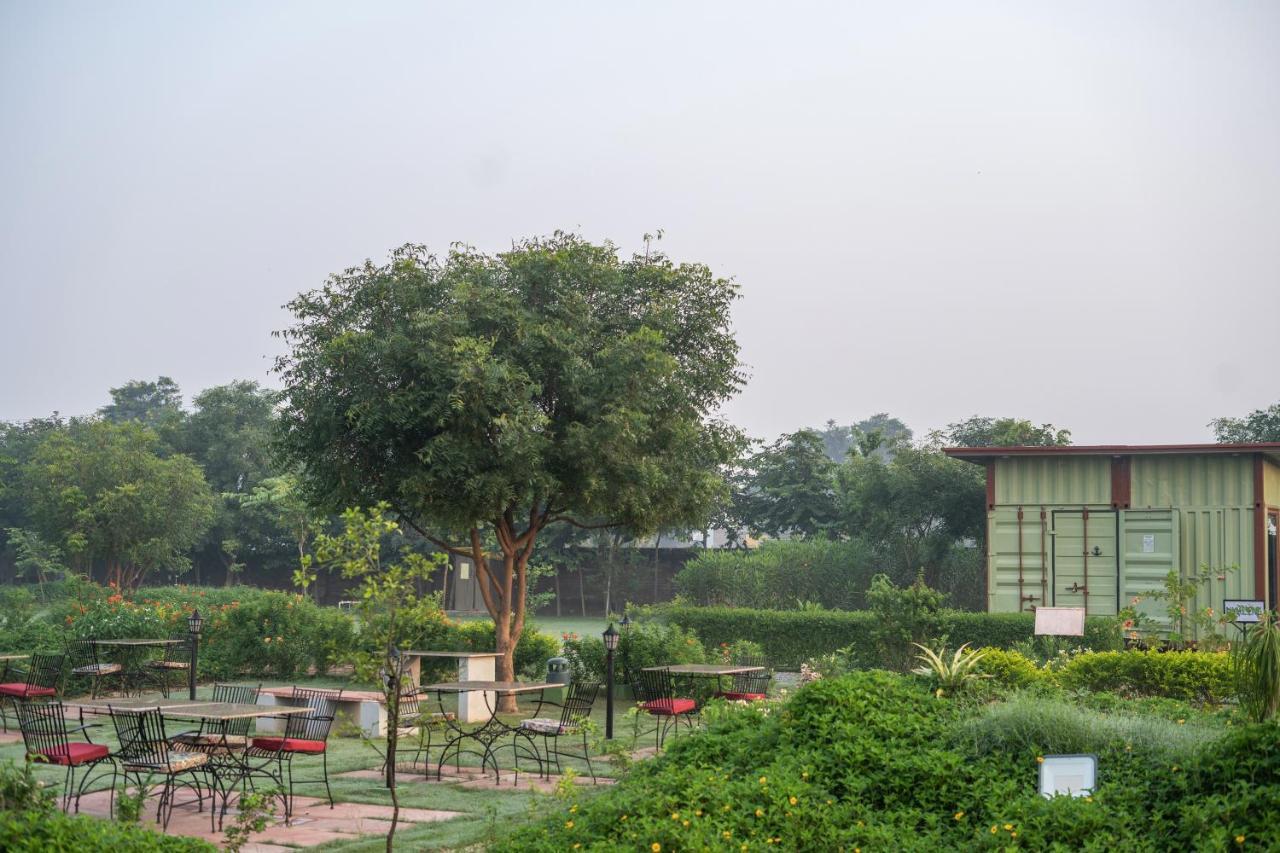 Tree Of Life Ecotainers Resort Agra (Uttar Pradesh)